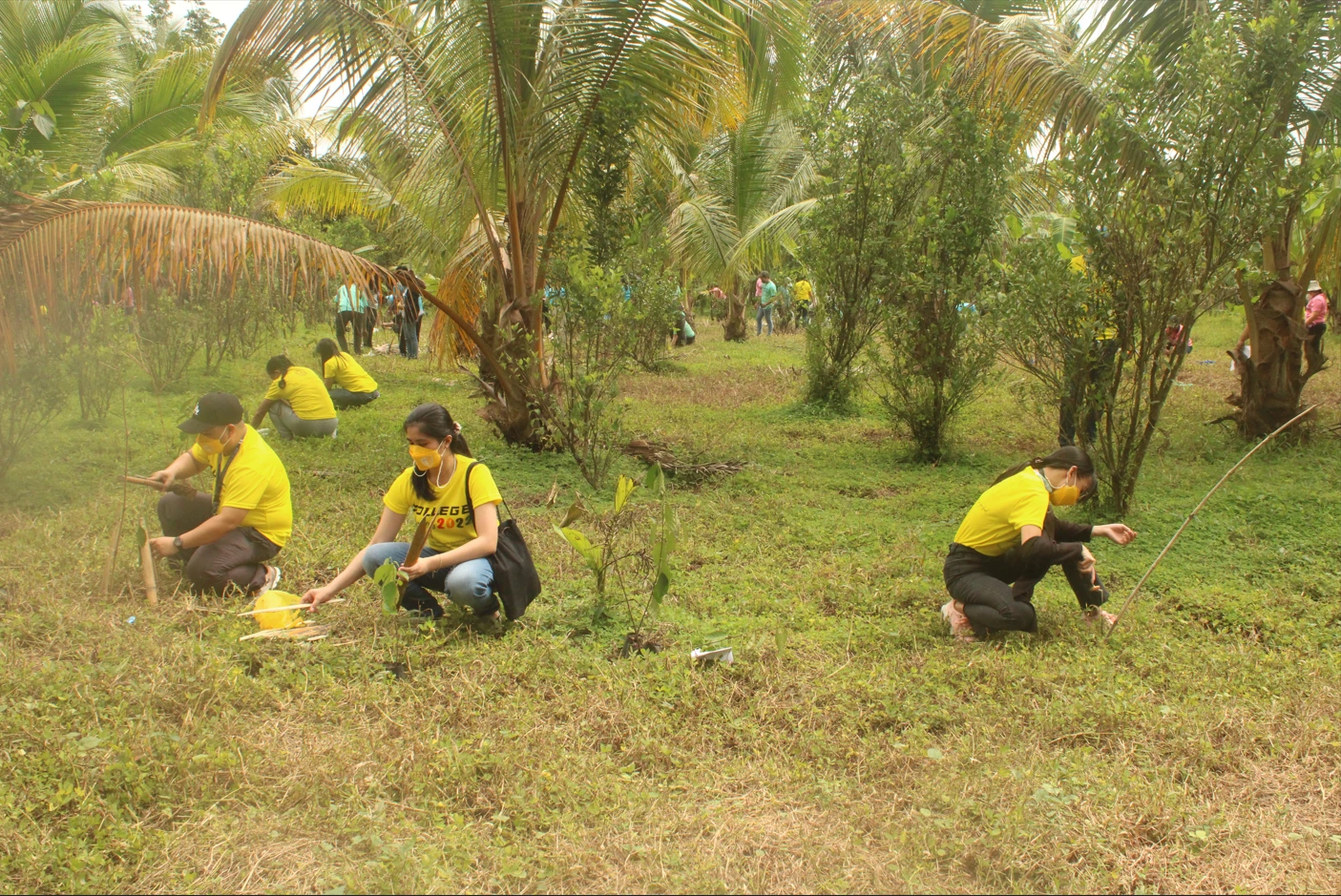 Tree Planting